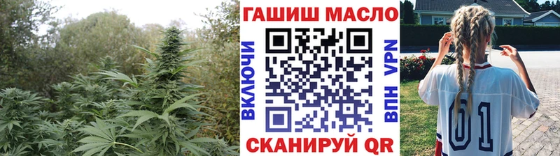 купить закладку Инта Дистиллят ТГК THC oil