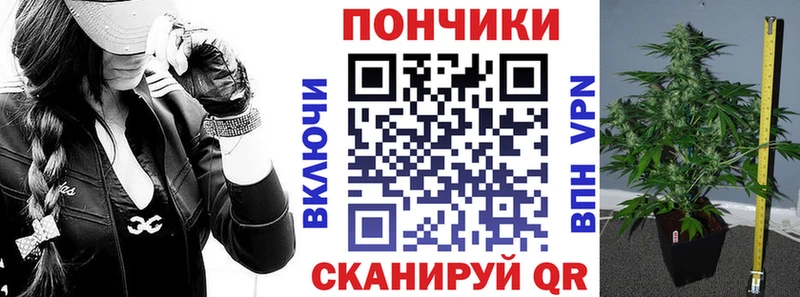 наркота  Инта  Бошки Шишки THC 21% 